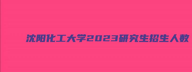 沈阳化工大学2023研究生招生人数