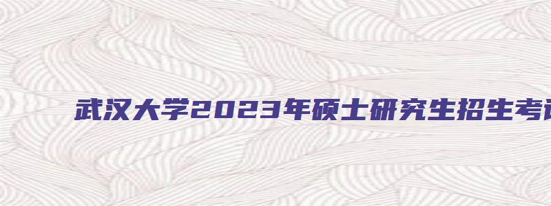 武汉大学2023年硕士研究生招生考试现场确认公告