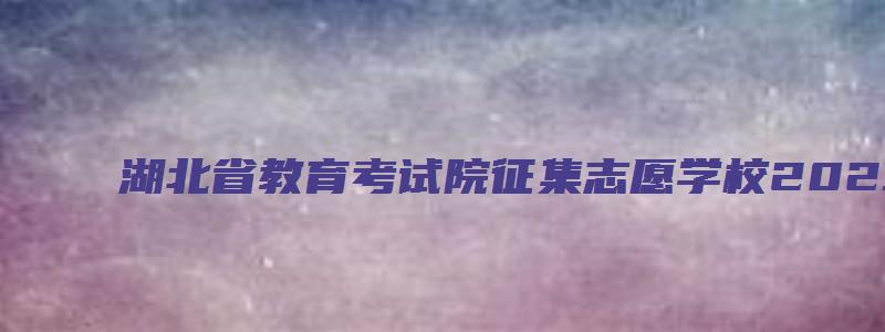 湖北省教育考试院征集志愿学校2023