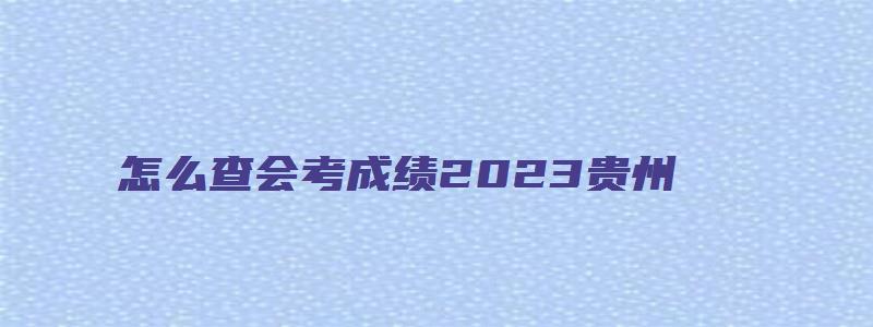 怎么查会考成绩2023贵州