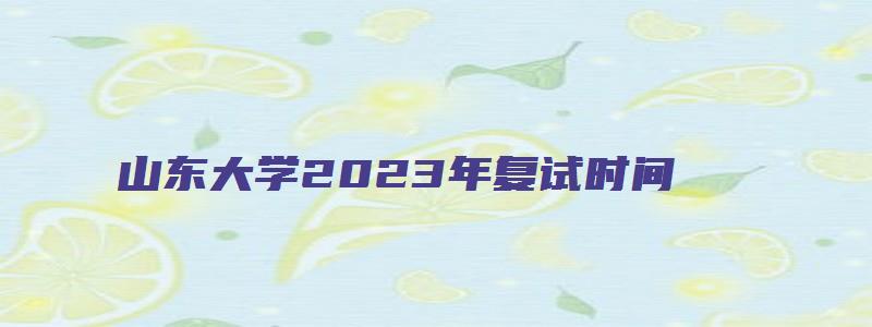 山东大学2023年复试时间