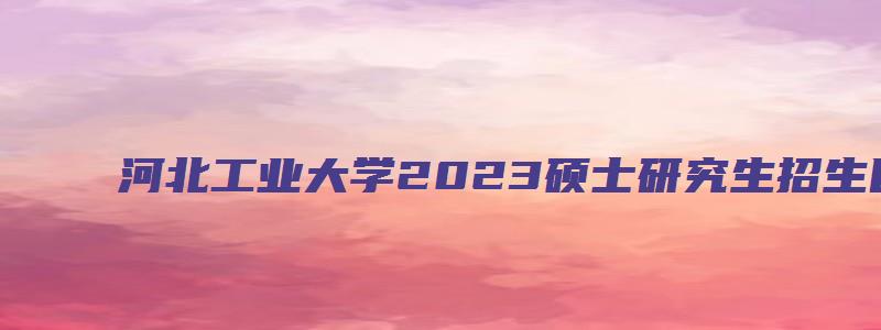 河北工业大学2023硕士研究生招生目录公布