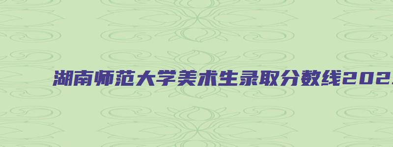 湖南师范大学美术生录取分数线2023