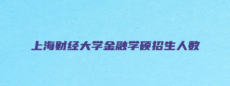 上海财经大学金融学硕招生人数