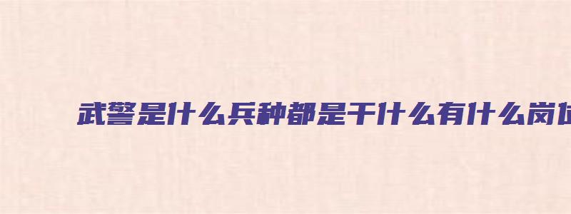 武警是什么兵种都是干什么有什么岗位