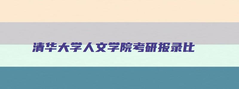 清华大学人文学院考研报录比