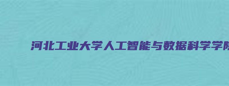 河北工业大学人工智能与数据科学学院怎么样