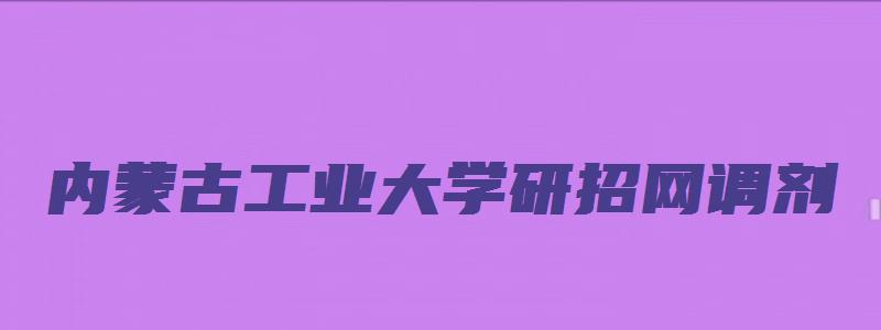 内蒙古工业大学研招网调剂