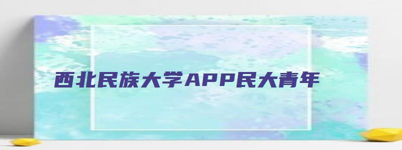 西北民族大学APP民大青年