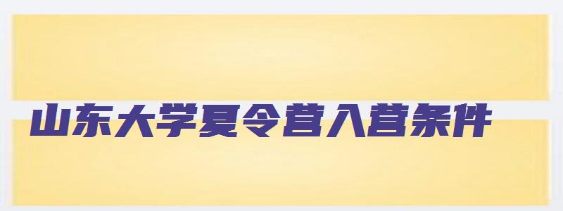 山东大学夏令营入营条件