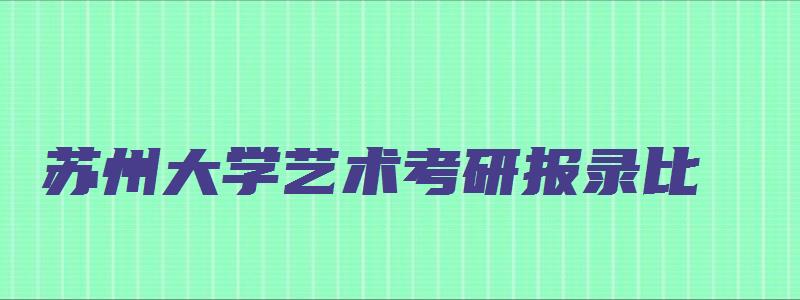 苏州大学艺术考研报录比