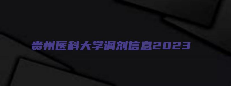 贵州医科大学调剂信息2023