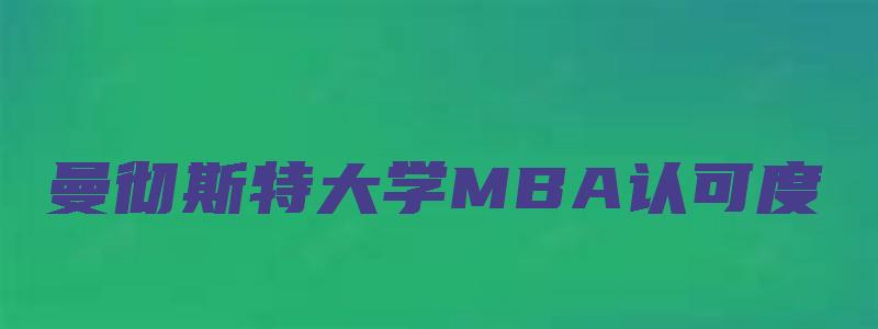 曼彻斯特大学MBA认可度