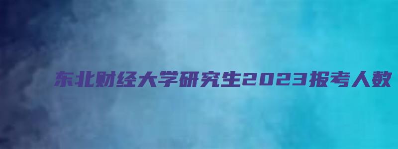 东北财经大学研究生2023报考人数