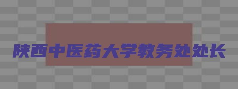 陕西中医药大学教务处处长