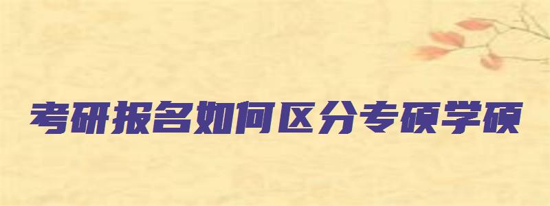 考研报名如何区分专硕学硕