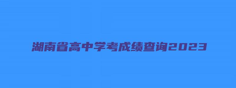 湖南省高中学考成绩查询2023