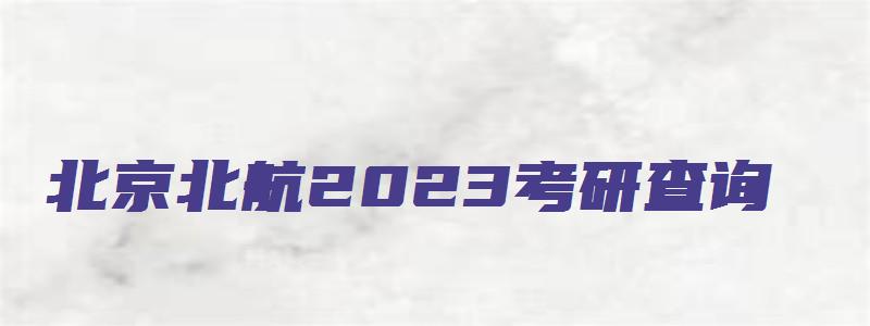 北京北航2023考研查询