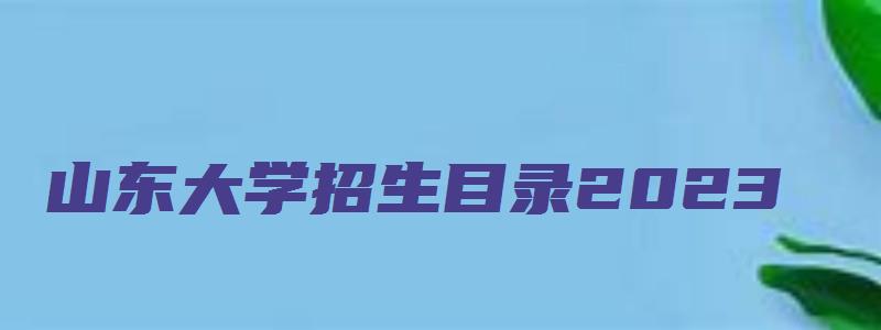 山东大学招生目录2023