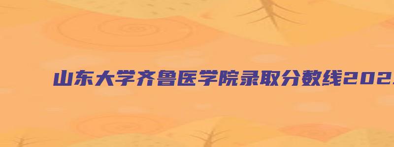 山东大学齐鲁医学院录取分数线2023