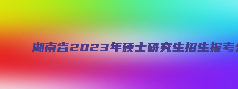 湖南省2023年硕士研究生招生报考公告