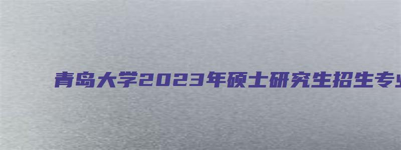 青岛大学2023年硕士研究生招生专业目录