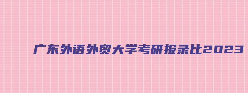 广东外语外贸大学考研报录比2023