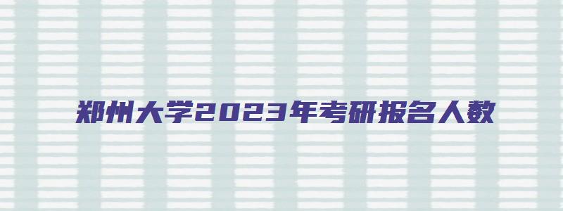 郑州大学2023年考研报名人数