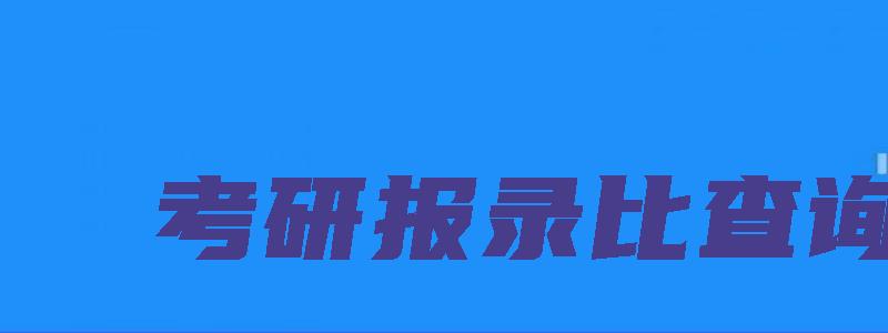 考研报录比查询网