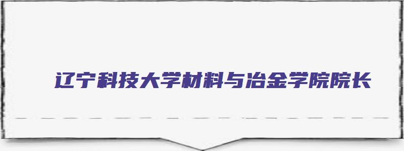 辽宁科技大学材料与冶金学院院长