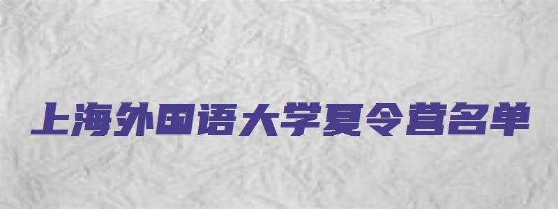 上海外国语大学夏令营名单