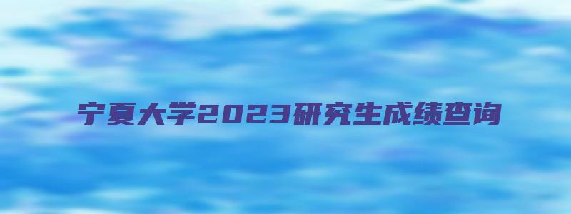 宁夏大学2023研究生成绩查询