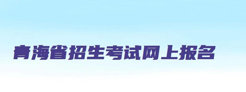 青海省招生考试网上报名