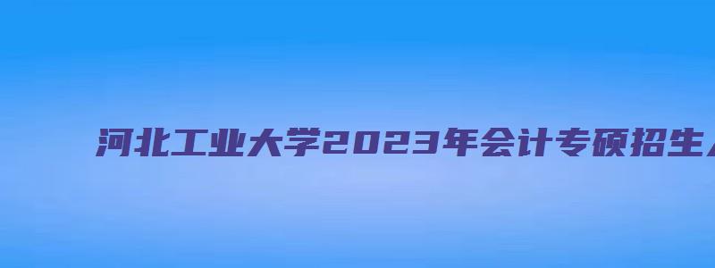 河北工业大学2023年会计专硕招生人数