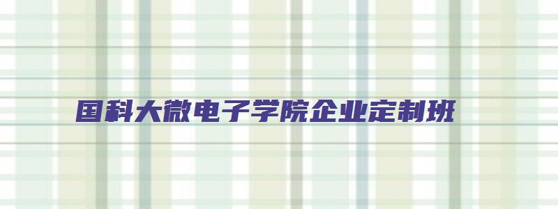 国科大微电子学院企业定制班