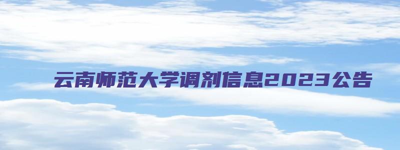 云南师范大学调剂信息2023公告