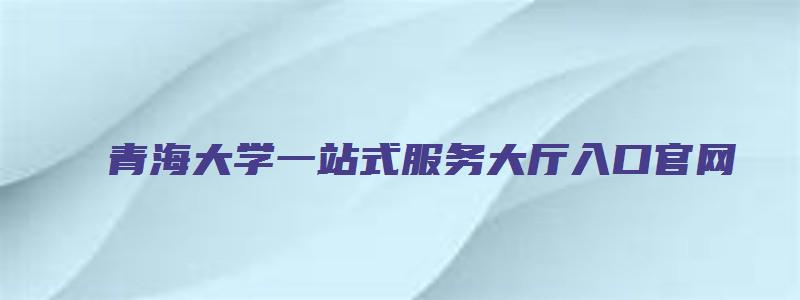 青海大学一站式服务大厅入口官网