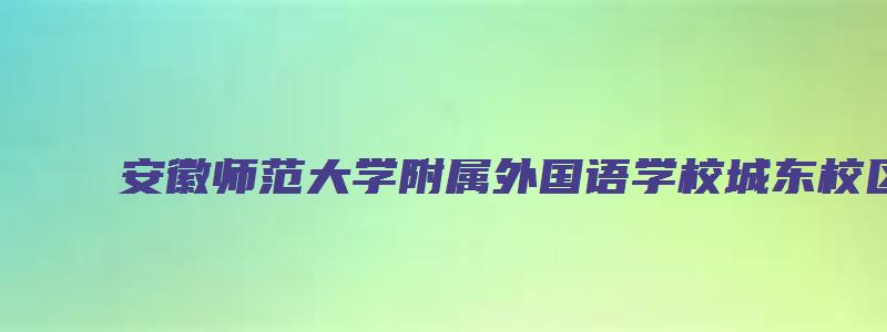 安徽师范大学附属外国语学校城东校区