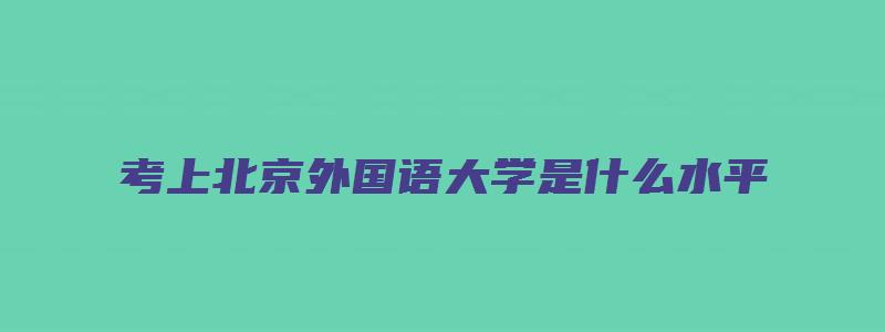 考上北京外国语大学是什么水平