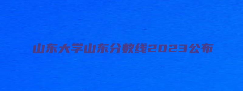 山东大学山东分数线2023公布