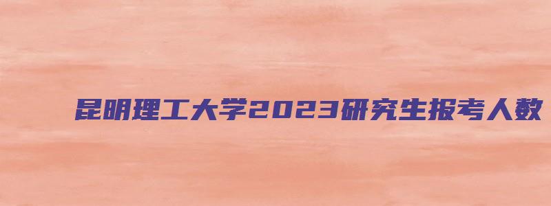 昆明理工大学2023研究生报考人数