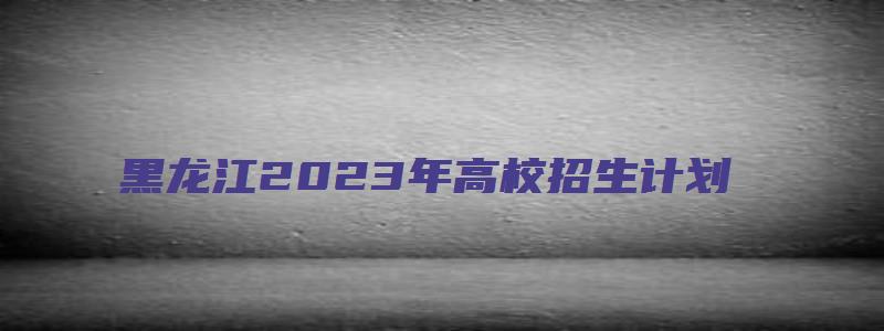 黑龙江2023年高校招生计划