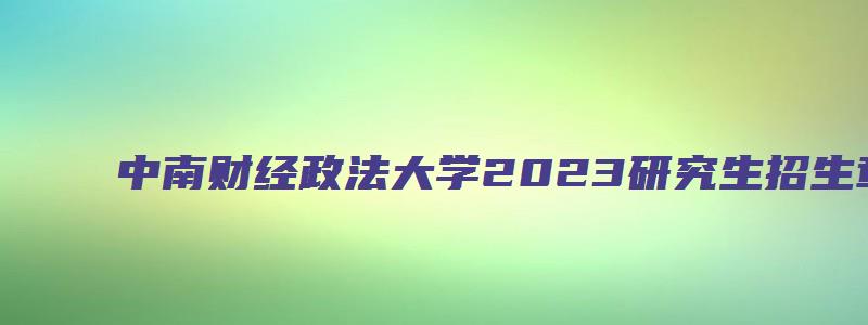 中南财经政法大学2023研究生招生章程