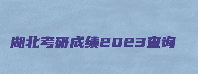 湖北考研成绩2023查询