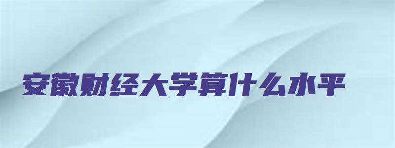 安徽财经大学算什么水平