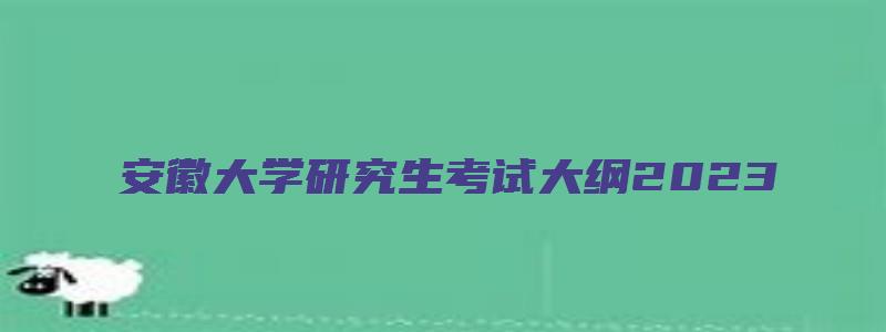 安徽大学研究生考试大纲2023