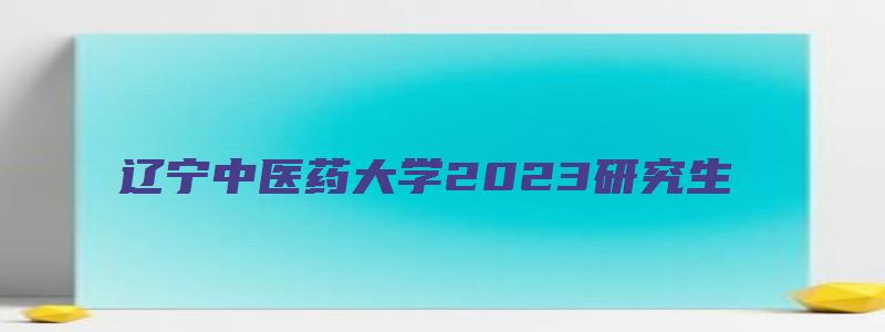 辽宁中医药大学2023研究生