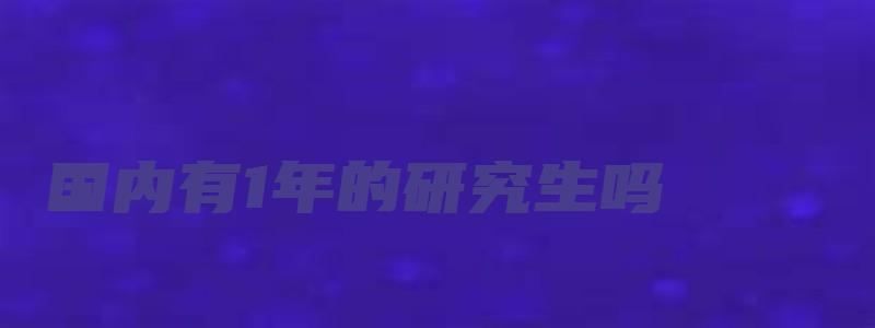 国内有1年的研究生吗