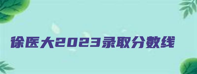 徐医大2023录取分数线