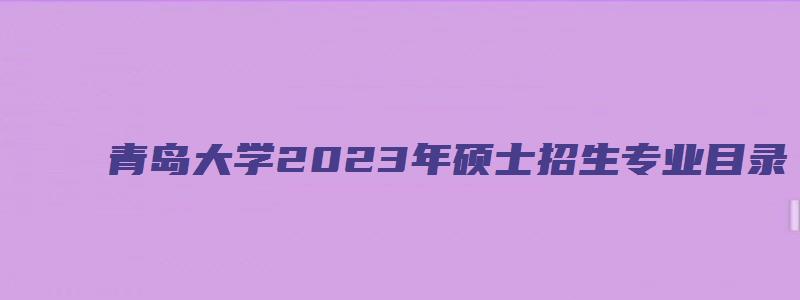 青岛大学2023年硕士招生专业目录